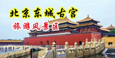 男人把女人桶到爽30分钟中国北京-东城古宫旅游风景区